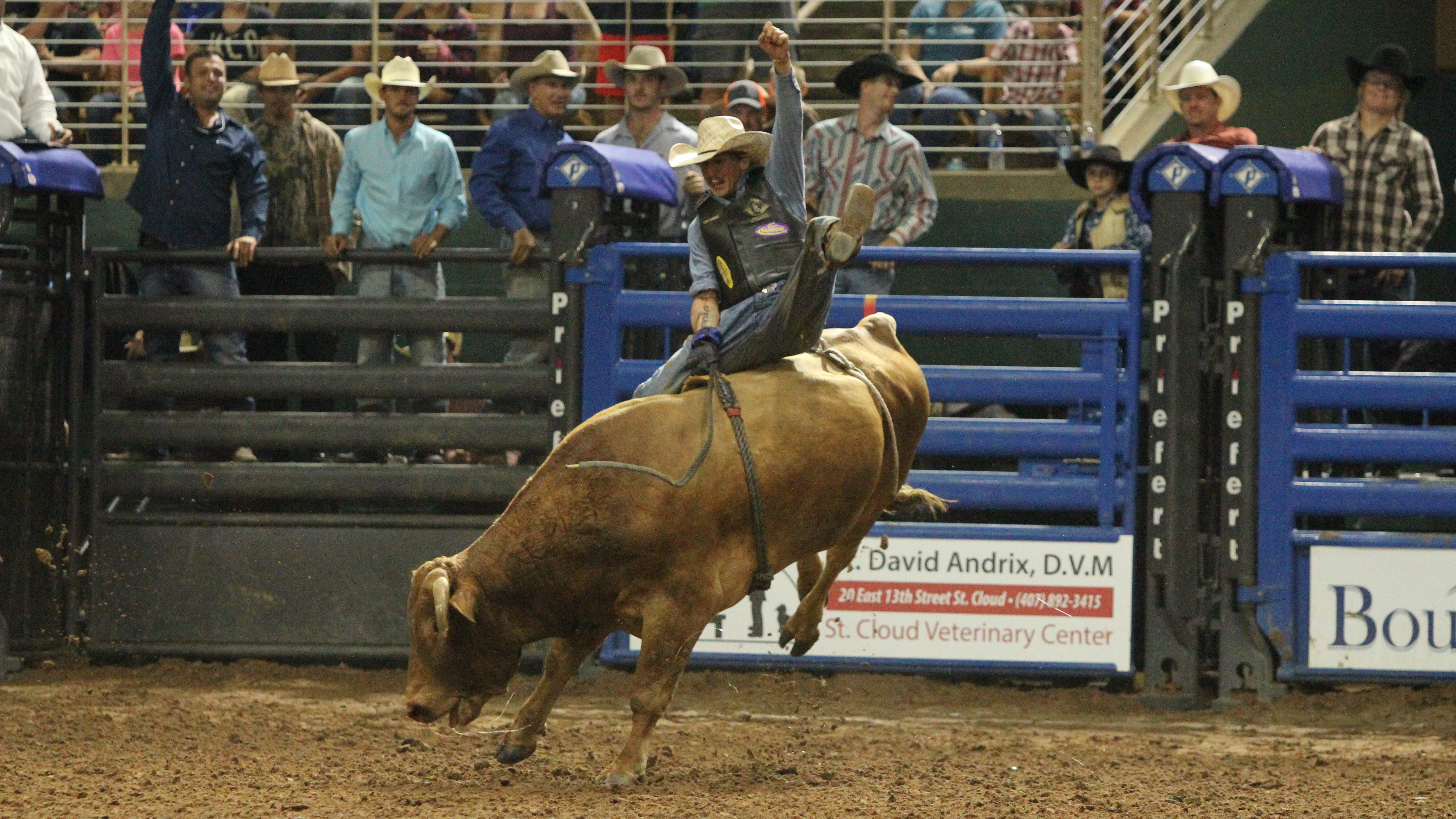 Photo for 9th Annual Monster Bulls on ViewStub