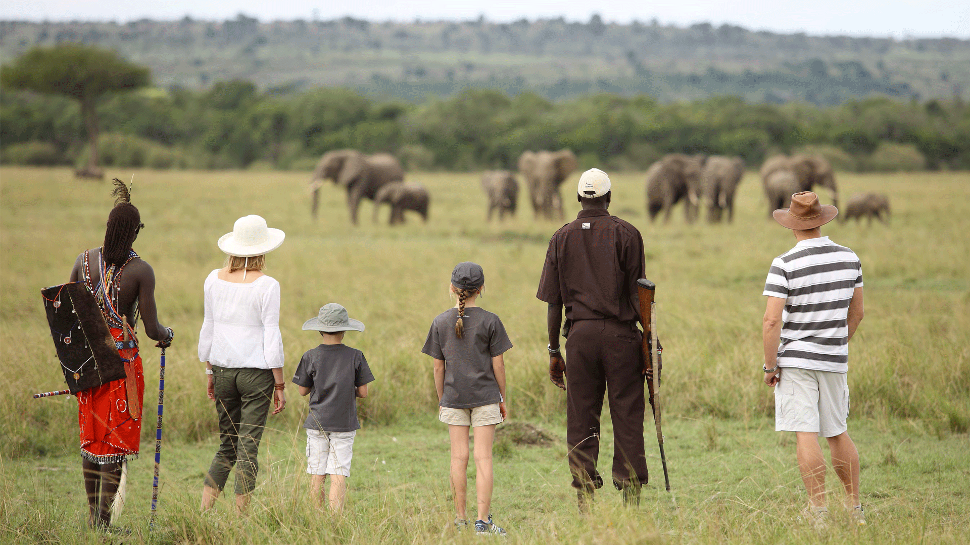 African tour. ЮАР сафари. Африка для туристов.