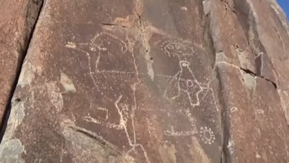 Photo for Squatter Man 2022, The Plasma Petroglyph Tour on ViewStub