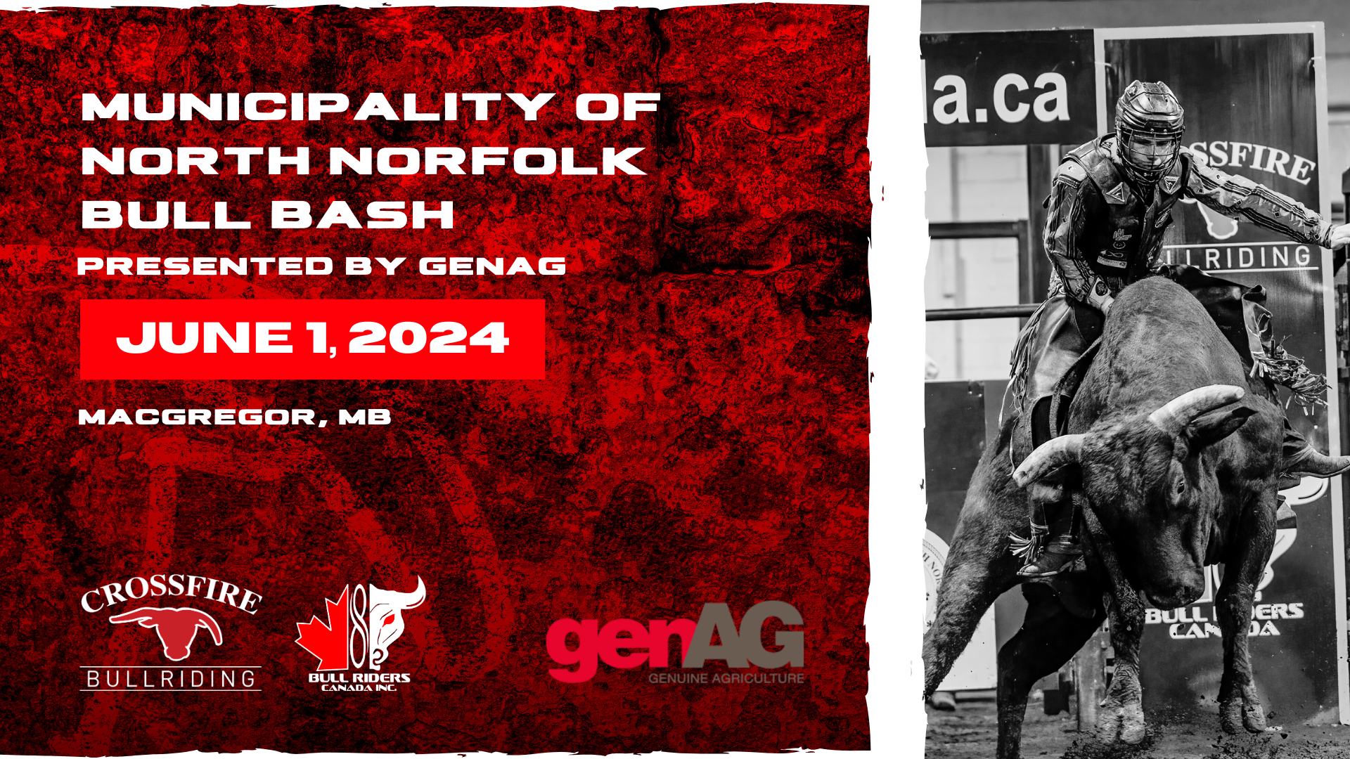 Photo for Municipality of North Norfolk Bull Bash presented by GenAG on ViewStub